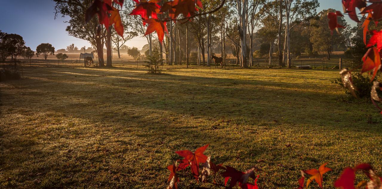 Tajmabarn Fullcircle Farm 6 Roundhill Rd Wilton Bed & Breakfast Dış mekan fotoğraf