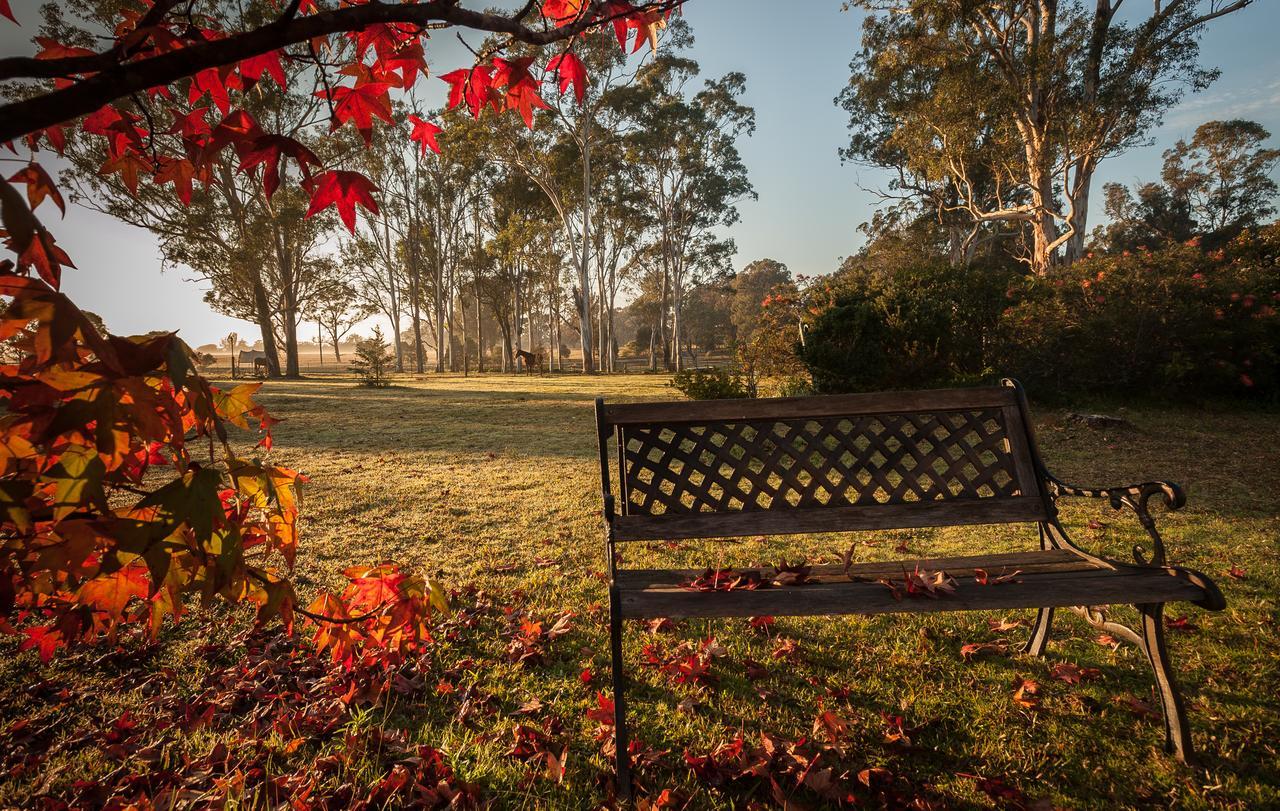 Tajmabarn Fullcircle Farm 6 Roundhill Rd Wilton Bed & Breakfast Dış mekan fotoğraf